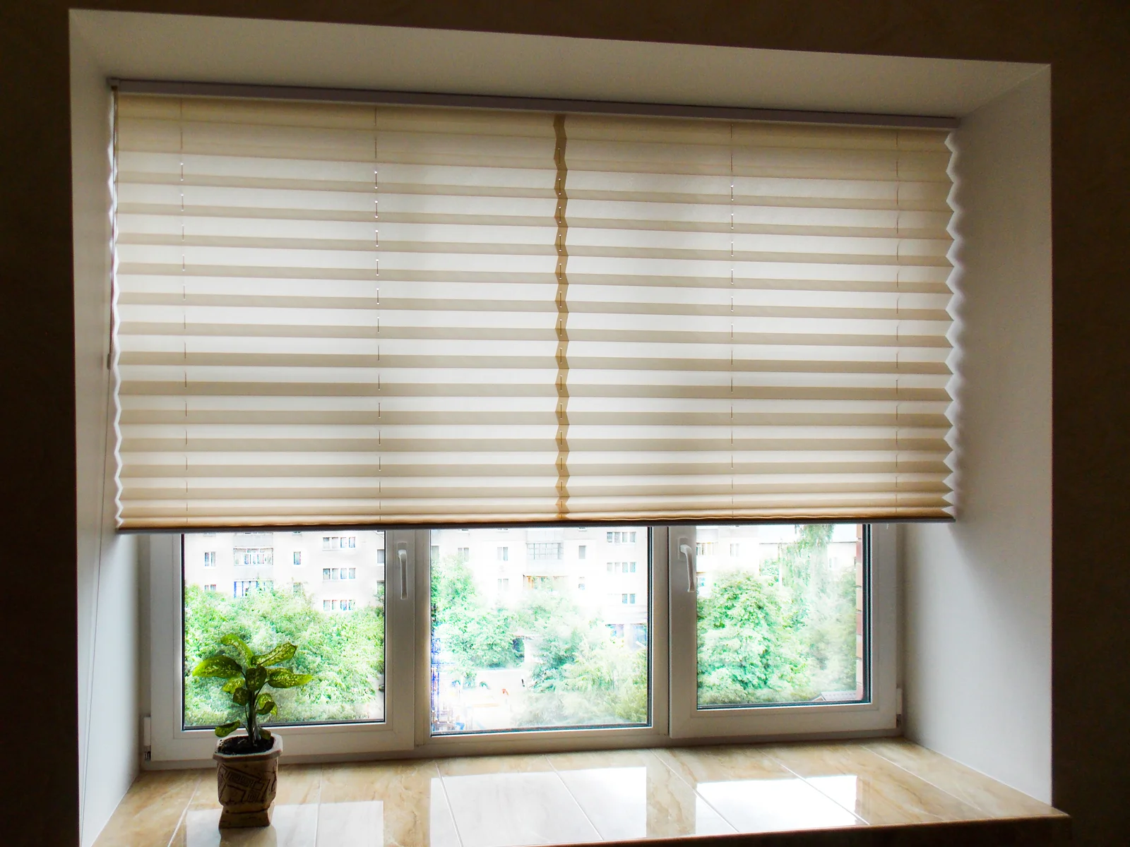 Honeycomb Blinds 5
