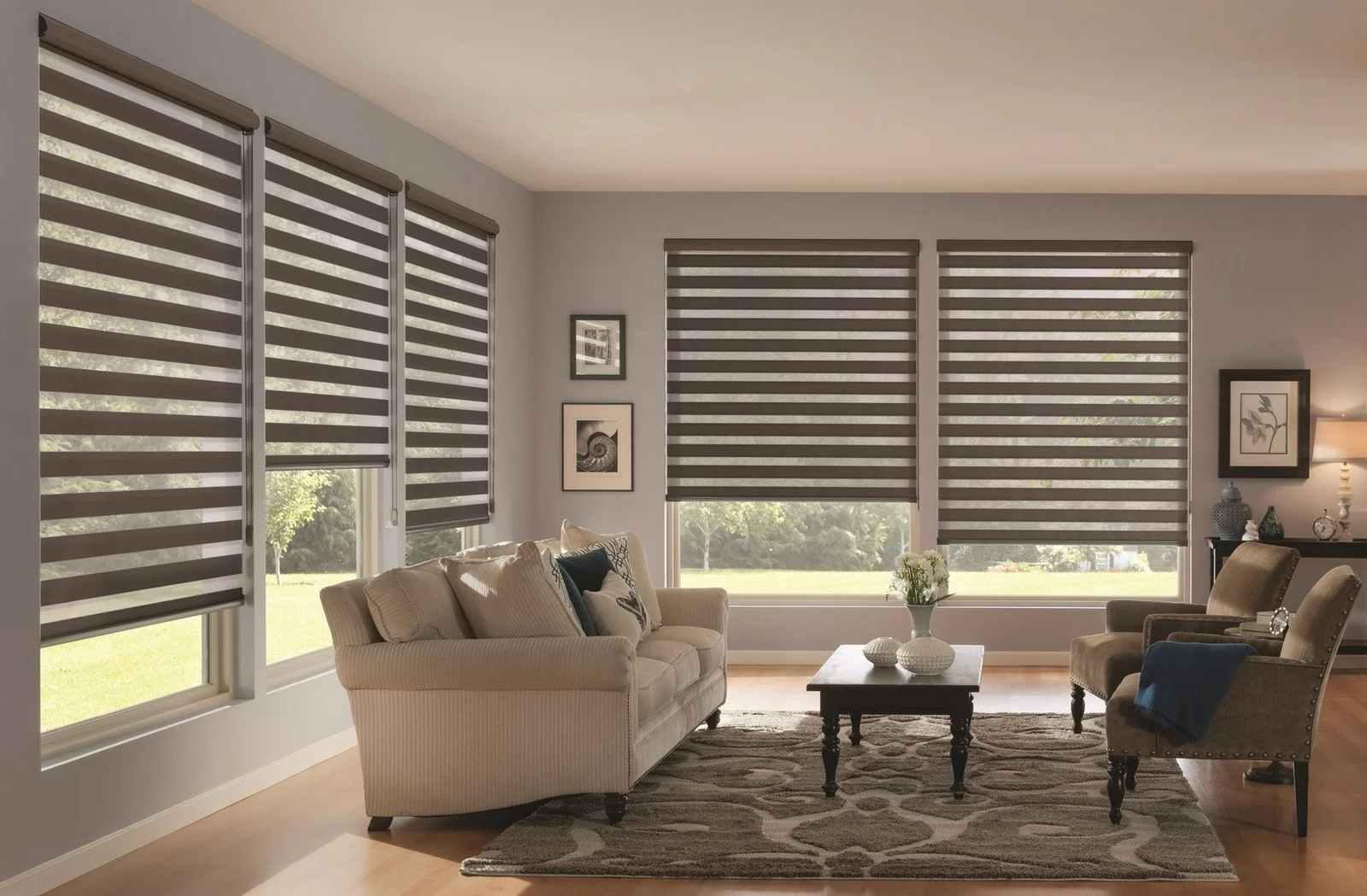 Zebra Blinds